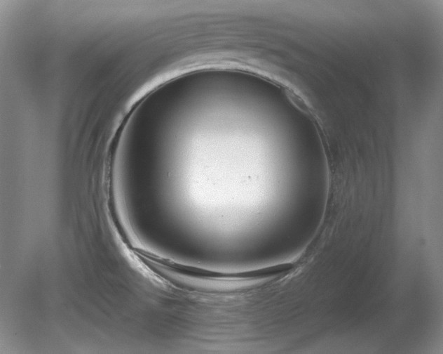 X0000081611526200701151352