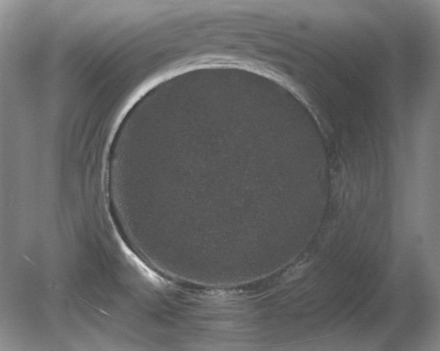 X0000081611527200701151352