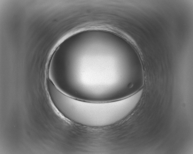 X0000081611528200701151352