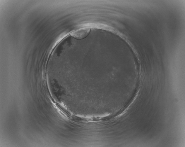 X0000081611529200701151352