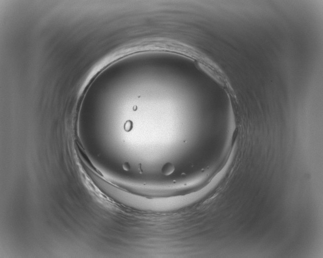 X0000081611530200701151352