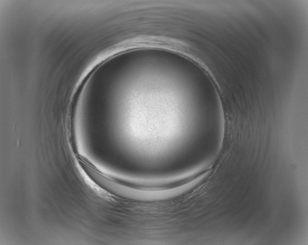 X0000081611531200701151352