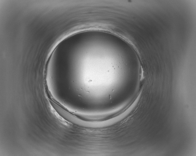 X0000081611532200701151352