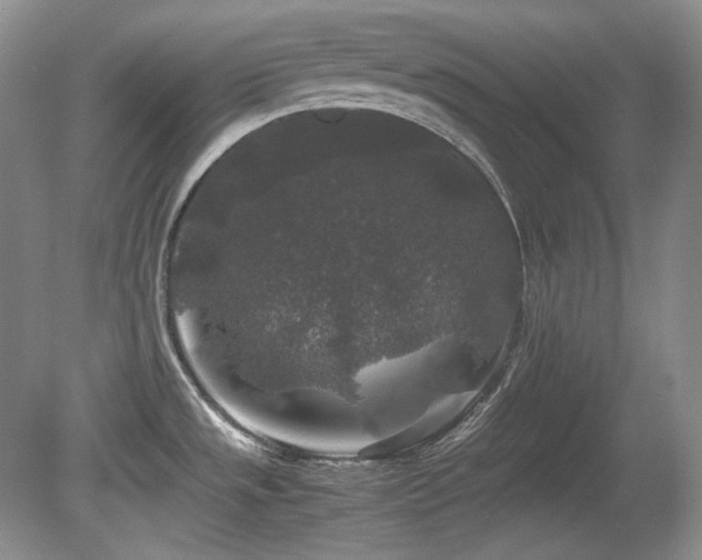 X0000081611533200701151352