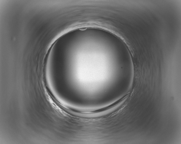 X0000081611534200701151352