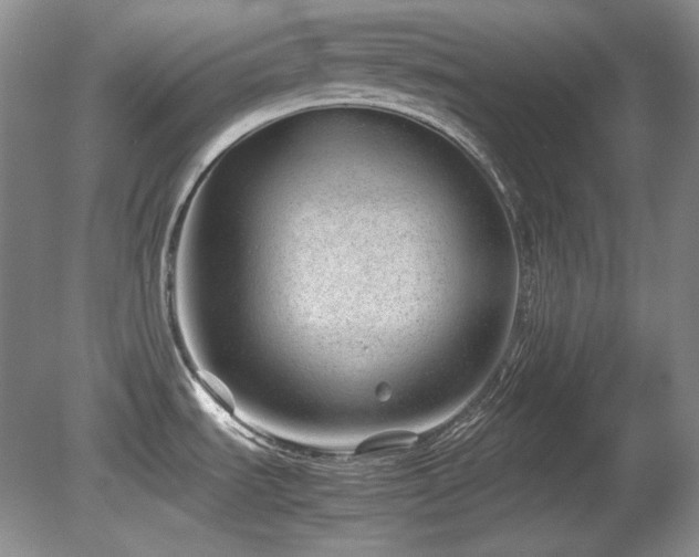 X0000081611535200701151352