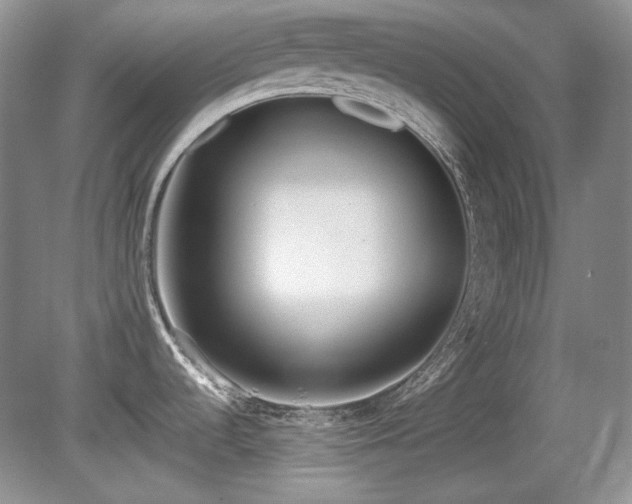 X0000081611536200701151352