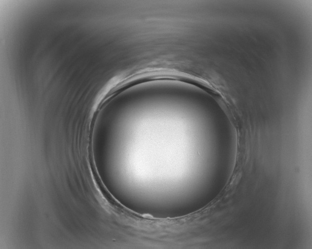 X0000081610003200701221214