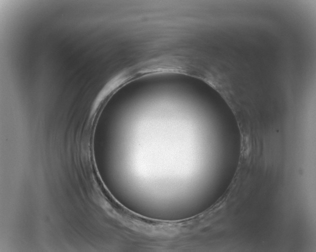 X0000081610004200701221214