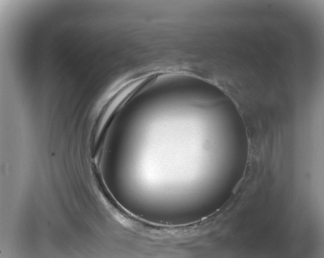 X0000081610005200701221214