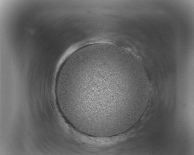 X0000081610006200701221214