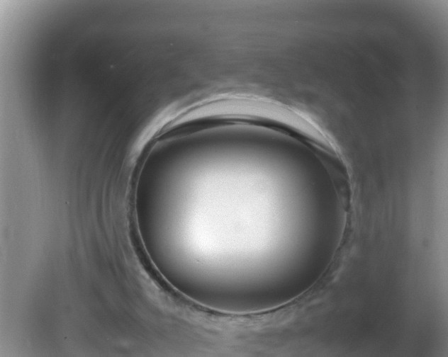 X0000081610007200701221214