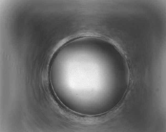 X0000081610008200701221214