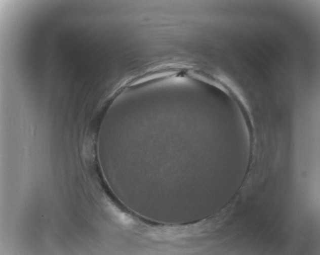 X0000081610009200701221214