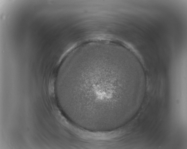 X0000081610010200701221214