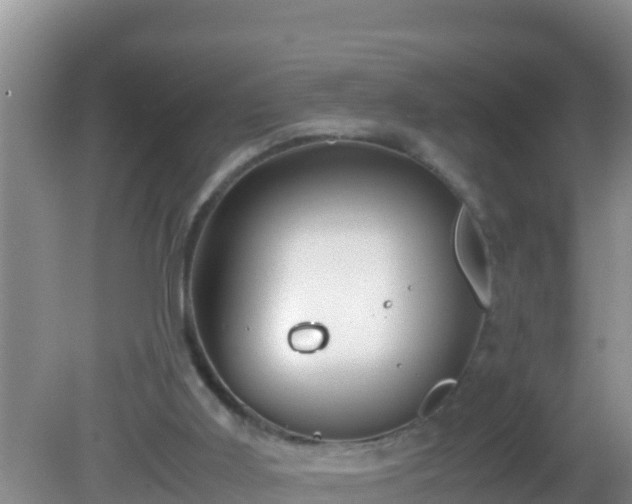 X0000081610011200701221214