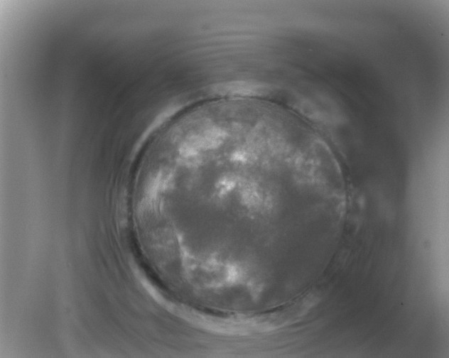 X0000081610012200701221214