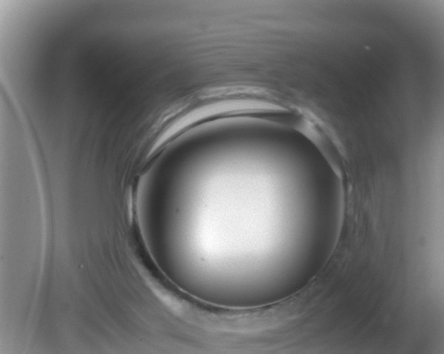 X0000081610013200701221214