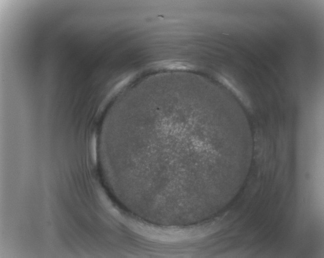 X0000081610014200701221214