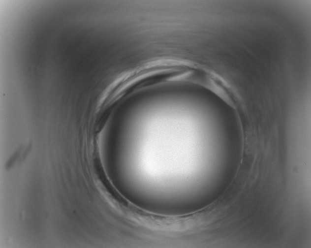 X0000081610015200701221214