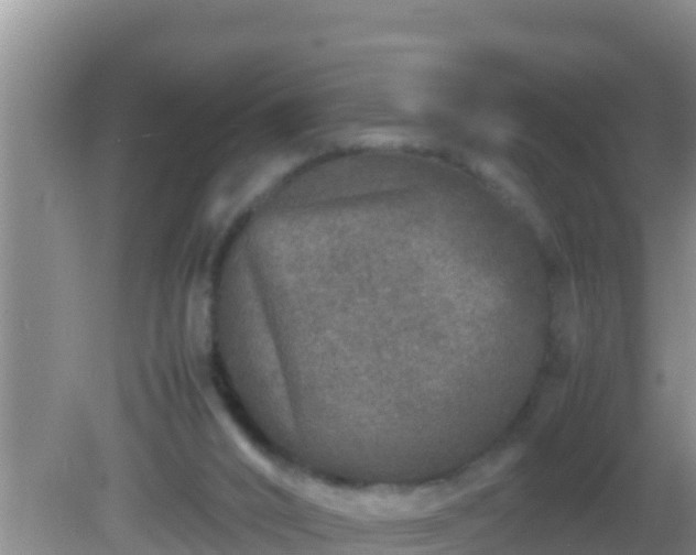 X0000081610016200701221214