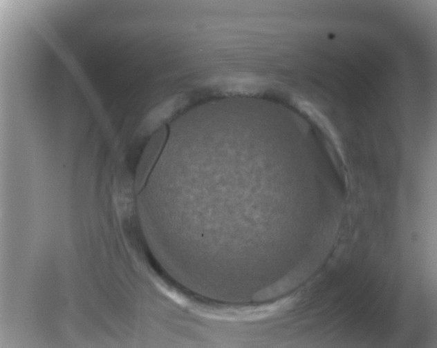 X0000081610017200701221214