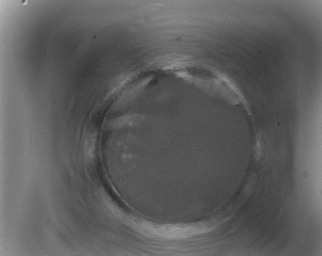 X0000081610018200701221214