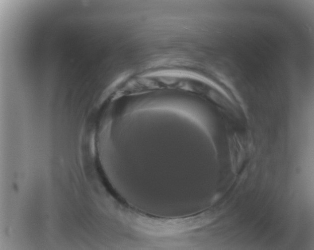 X0000081610019200701221214