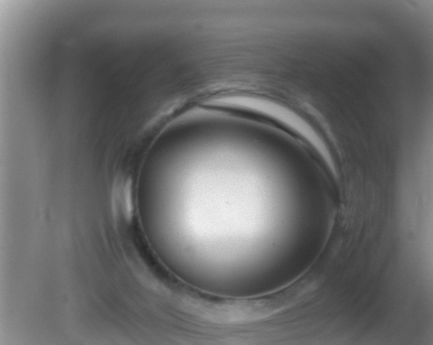 X0000081610020200701221214