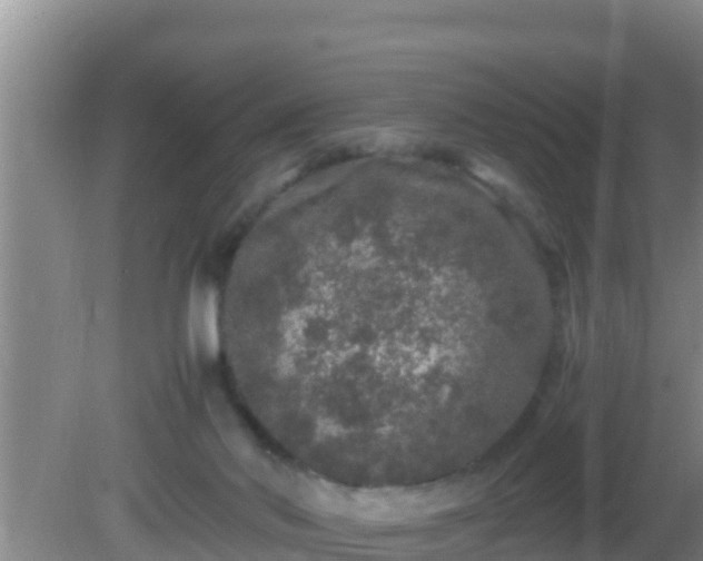 X0000081610022200701221214