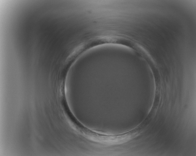 X0000081610023200701221214