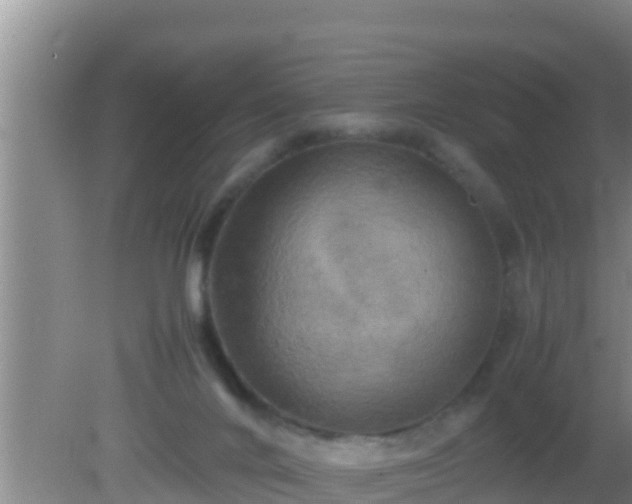 X0000081610024200701221214