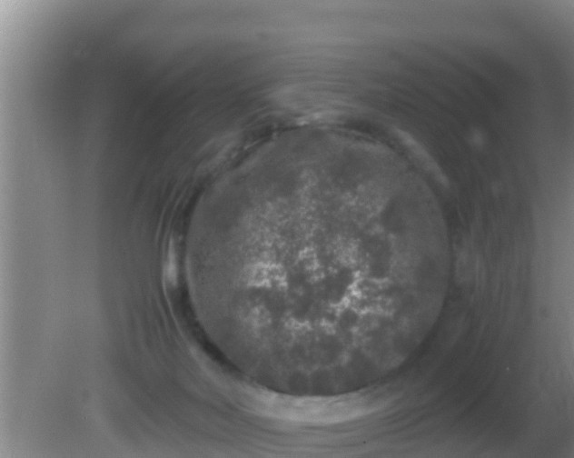 X0000081610026200701221214