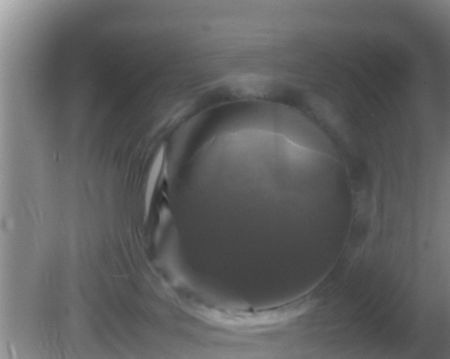 X0000081610027200701221214