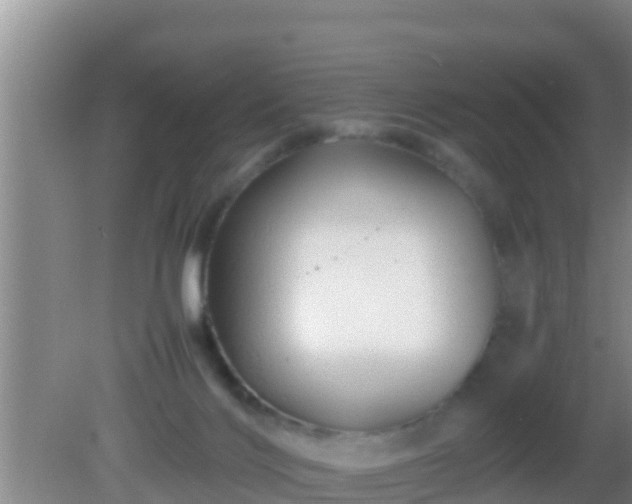 X0000081610028200701221214