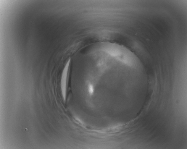 X0000081610029200701221214