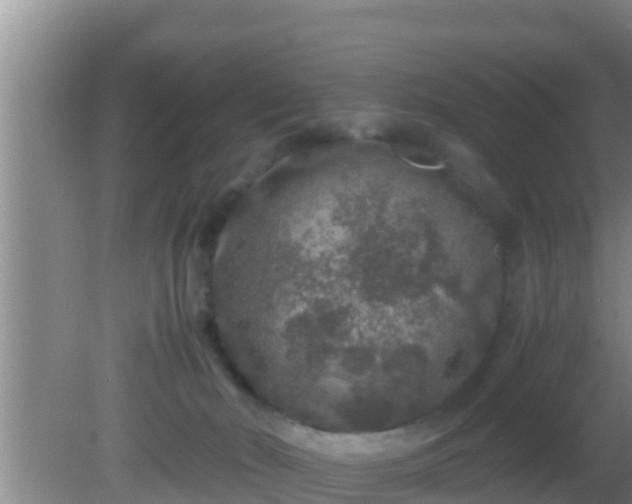 X0000081610030200701221214