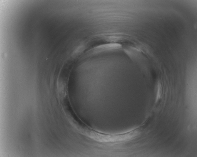 X0000081610031200701221214