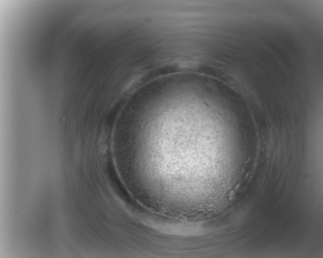 X0000081610032200701221214