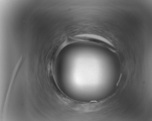 X0000081610033200701221214