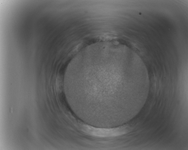 X0000081610034200701221214