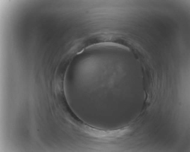 X0000081610035200701221214