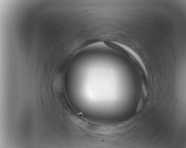 X0000081610037200701221213