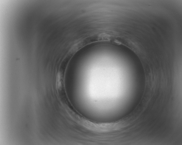 X0000081610038200701221213