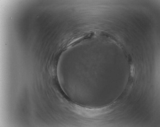 X0000081610039200701221213