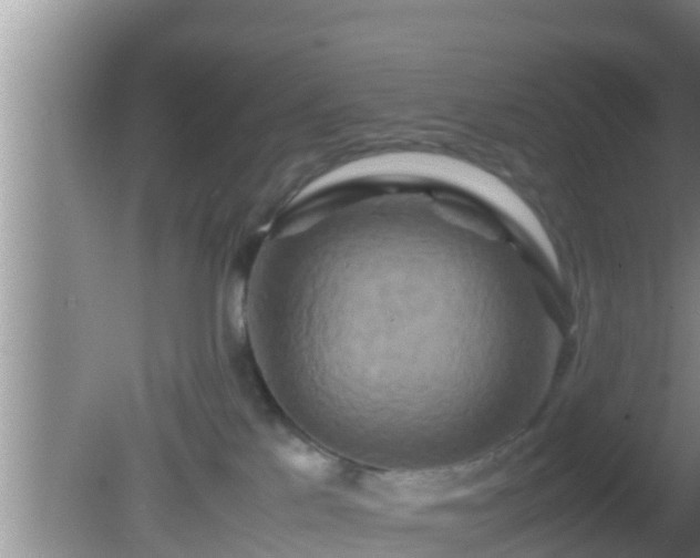 X0000081610041200701221213