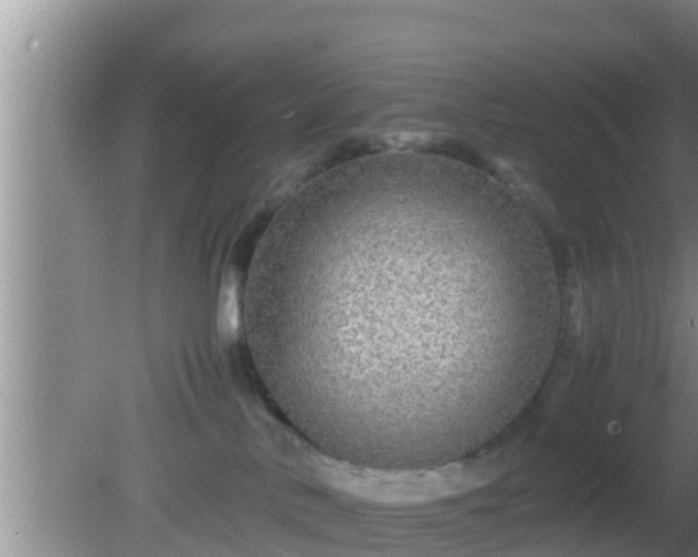 X0000081610042200701221213