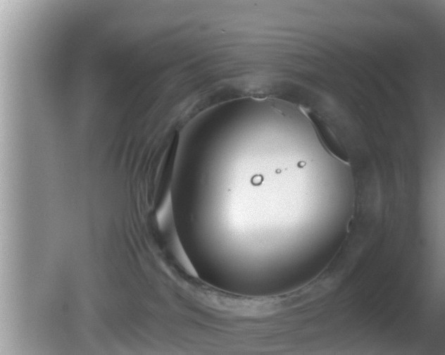 X0000081610044200701221213