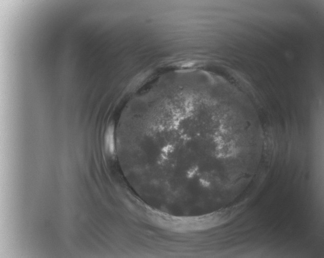 X0000081610046200701221213