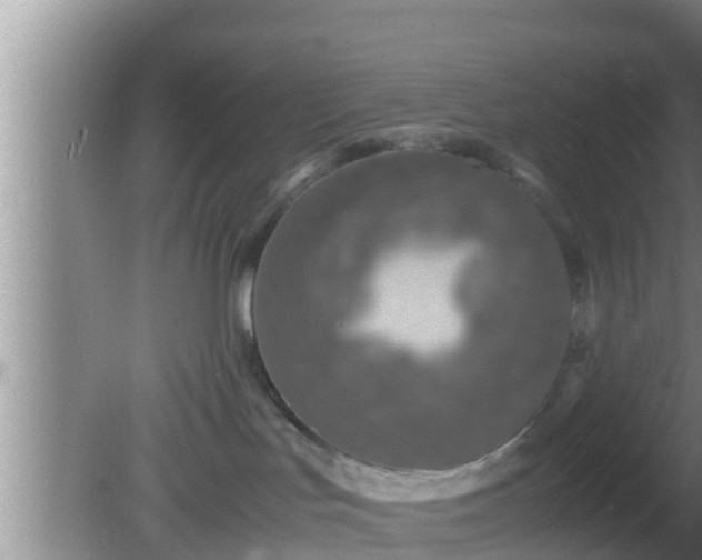 X0000081610047200701221213